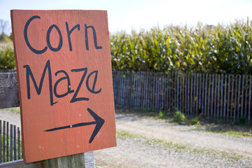 Corn maze sign next to a field of corn in rural america - 10250061