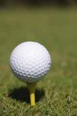 golf ball on a tee