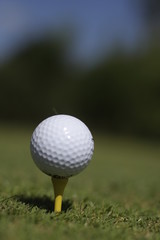 golf ball on a tee