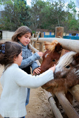 fillettes et poney