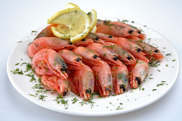 Shrimps