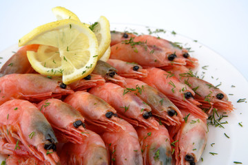 Shrimps