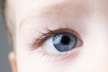 Obraz premium Detail of human eye