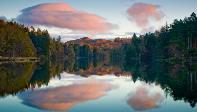 Tarn Hows early moring reflection