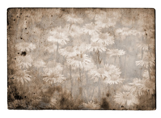 Old paper grunge flower background