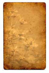 Old paper grunge flower background