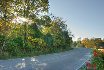 A winding road in the country in early morning.