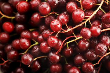 Fresh Vegetables, Fruits and other foodstuffs. Berries