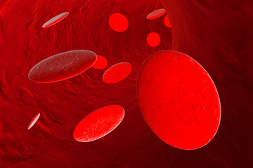 Blutkörper