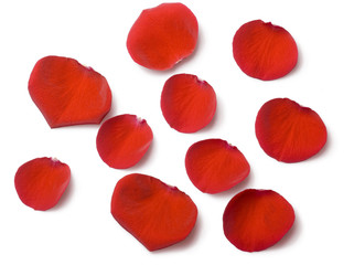 Rose petals