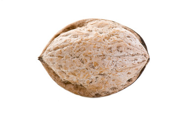 walnuts in a shell on a white background