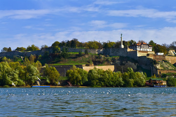 Fototapeta premium Kalemegdan Fortress, Belgrade