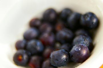 bowl of fresh blueberries, closeup from above