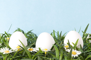 three white eggs lying on grass with flowers