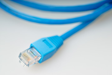 Blue network cable with jack