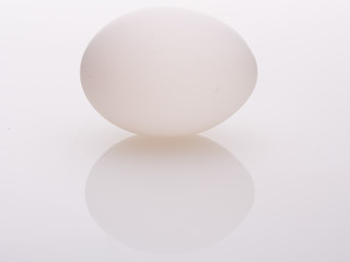 Egg close up macro image