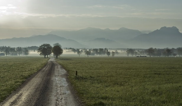 morgen im nebel