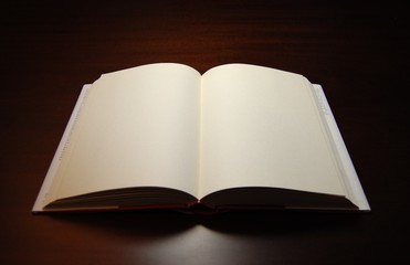 Picture of a book