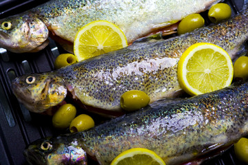 Trouts, olive, olive oil and lemon