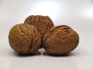 walnut