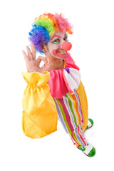 funny looking clorful clown making faces on white background