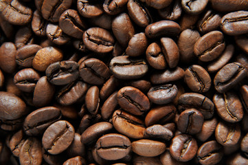 Close-up shot of coffee beans