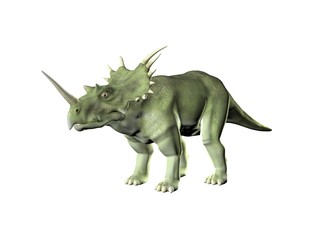 Triceratops an ancient jurassic extinct reptile Illustration