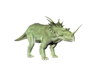 Fototapeta premium Triceratops an ancient jurassic extinct reptile Illustration