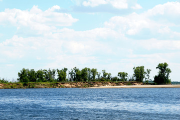 Wood on the coast of the quiet river