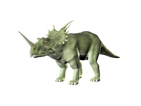 Triceratops an ancient jurassic extinct reptile Illustration