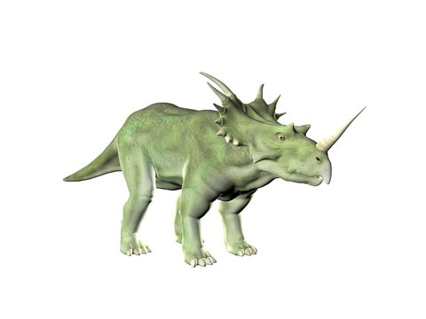 Triceratops an ancient jurassic extinct reptile Illustration