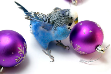 Parrot and fir tree new year's balls