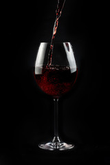Vino 13