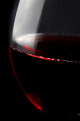 Vino 15