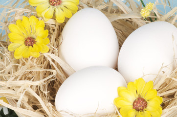 a close-up of white eggs on straw and flowers