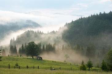 dense fog over summer mountains