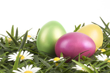 a group of colorful easter eggs lying on grass