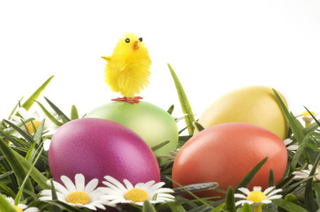a group of colorful easter eggs lying on grass with a chicken