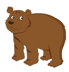 Illustration of a brown bear on white