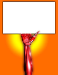 Muscle Hand With Blank Sign 4