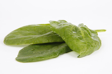 Spinach