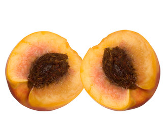 Fruit a peach an apricot a hybrid