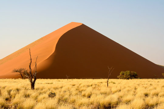 Rote Riesensanddüne in der Namib