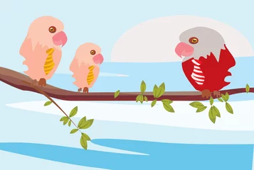 Foto op Plexiglas vector afbeelding van drie papegaaien © Heorshe