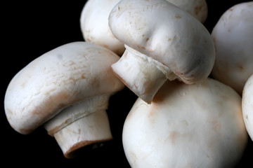 Mushrooms