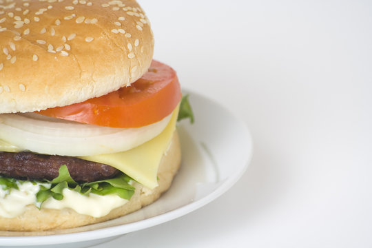 juicy hamburger meat lettuce tomato and onion mayonnaise