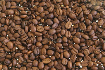 Whole coffee beans background texture or design element