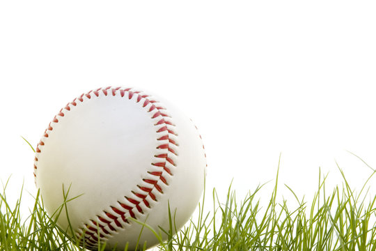 baseball in the grass isolated on a white background