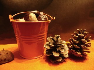 Fall ornaments - Décoration d'automne