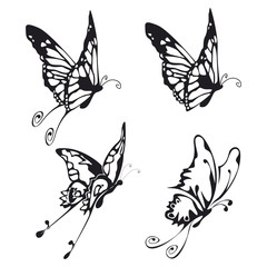 four illustration of fliyng buttefly black on white
